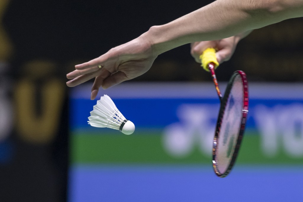 plumas ganso badminton