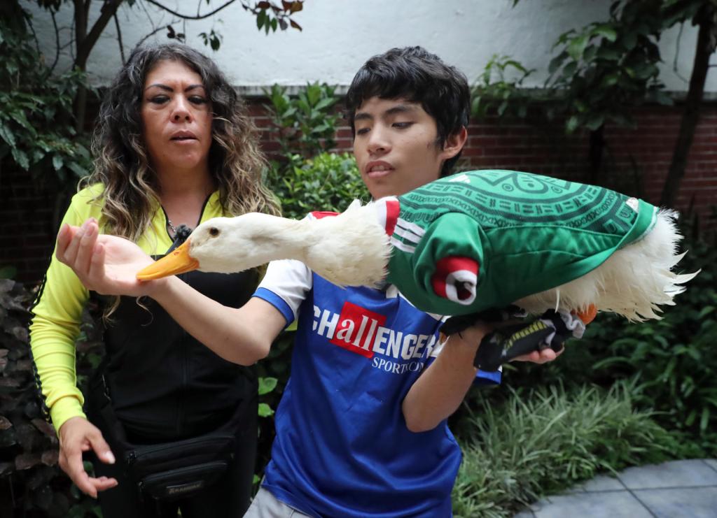 mexico reconoce pato familia gomez