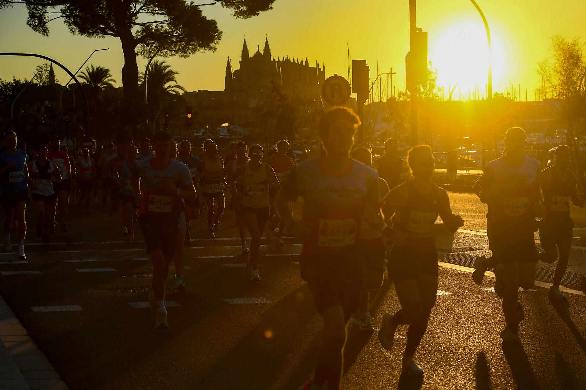 TUI Palma Marathon corredores