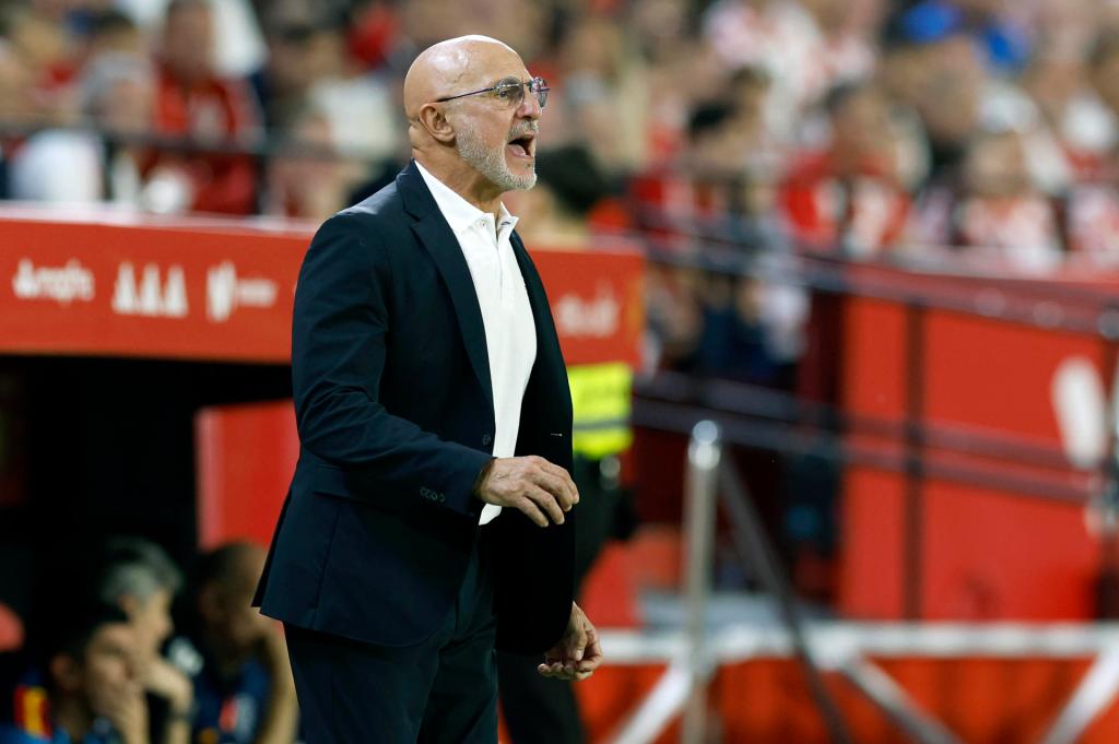 luis de la fuente ofertas